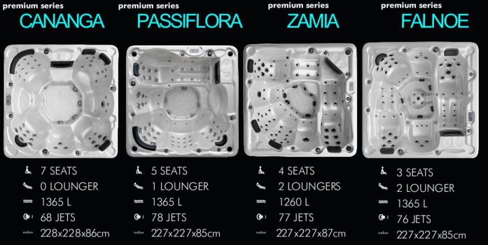 Cliquez pour voir notre gamme PREMIUM Series gamme de spas premium